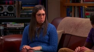 The Big Bang Theory: 6×14