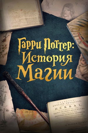 Harry Potter: A History Of Magic