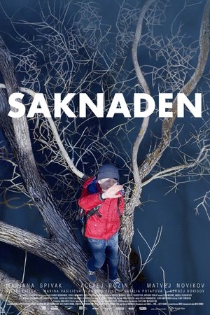 Poster Saknaden 2017