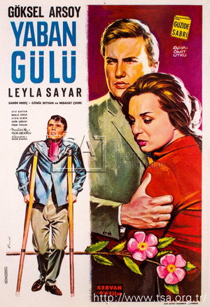Yaban Gülü 2