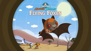 Octonauts: Above & Beyond The Octonauts and the Flying Foxes