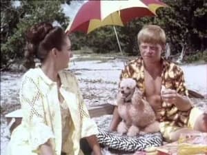 Flipper: 3×19