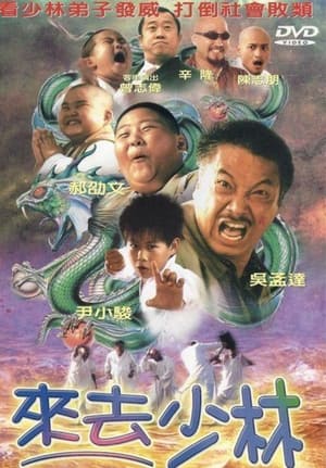 Poster 來去少林 2003