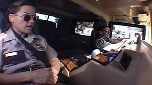 Reno 911!: 3×10