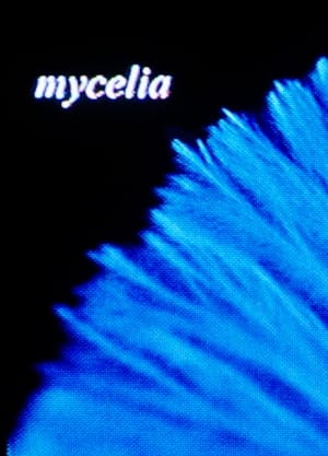 mycelia film complet