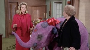 Un éléphant à pois