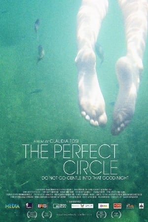 The Perfect Circle film complet