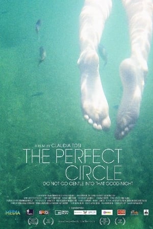 Image The Perfect Circle