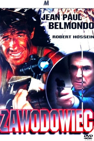 The Professional 41
