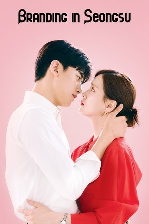 Nonton Drama Korea Branding in Seongsu (2024)