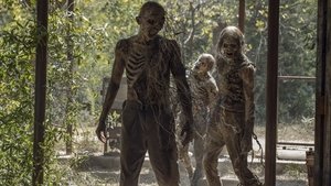 The Walking Dead: Season 10 Episode 10 – Stalker