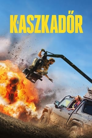 Poster A kaszkadőr 2024