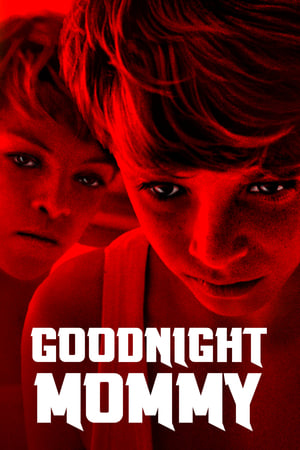 Poster Goodnight Mommy 2014