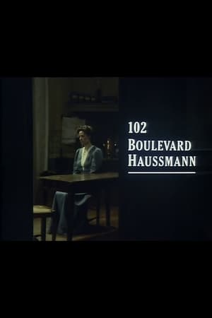 Image 102 Boulevard Haussmann