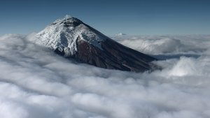 The Wild Andes