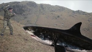 فيلم Mountain Shark 2024 مترجم