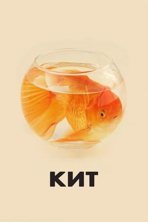 Poster Кит 2022