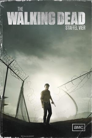 The Walking Dead: Staffel 4