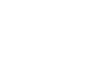 蜂巢 — Logos 2