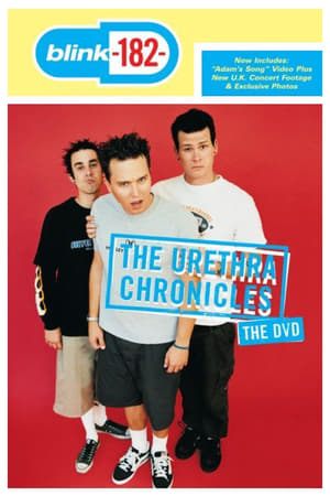 Poster blink-182: The Urethra Chronicles 1999