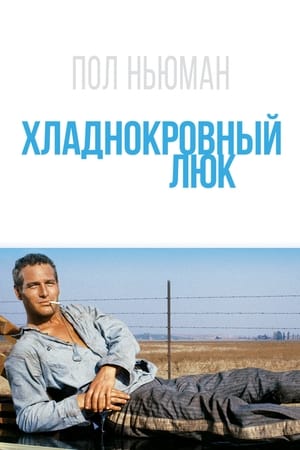 Poster Хладнокровный Люк 1967