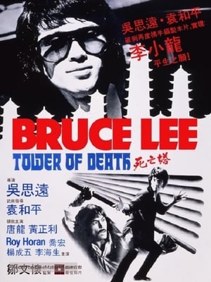 Poster 死亡塔 1981