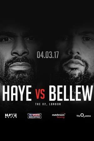 Poster David Haye vs. Tony Bellew (2017)