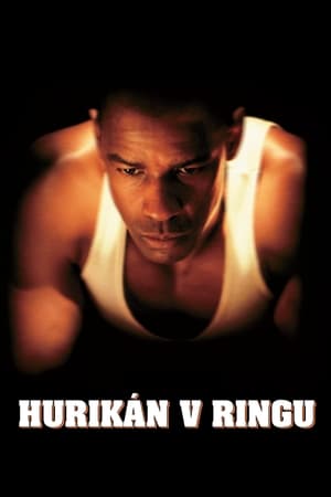 Poster Hurikán v ringu 1999