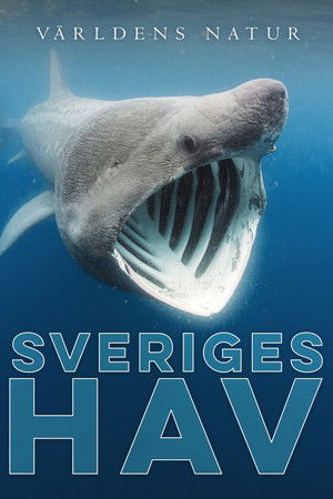 Sveriges hav