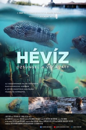 Póster oficial de la película Hévíz − Dzsungel a víz alatt