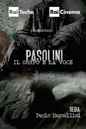 Image Pasolini - Il corpo e la voce