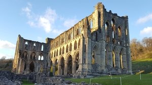 Terry Jones' Medieval Lives The Monk