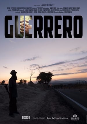 Poster Guerrero (2017)