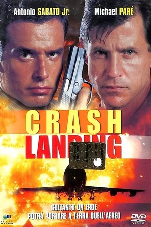 Image Crash Landing - Atterraggio d'emergenza
