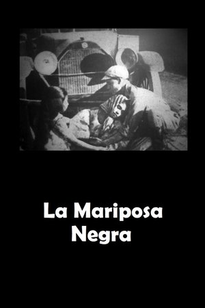 La Mariposa Negra