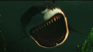 Bull Shark(2022)