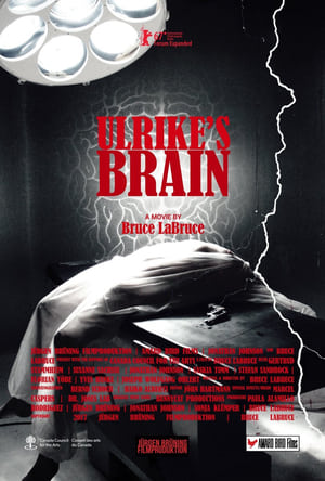 Image Ulrike's Brain