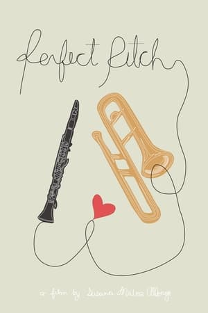 Poster Perfect Pitch (2012)