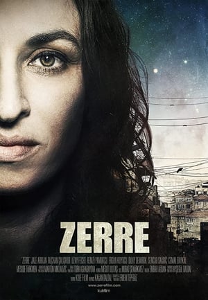 Poster Zerre 2012