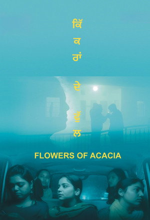 Flowers of Acacia (2026)