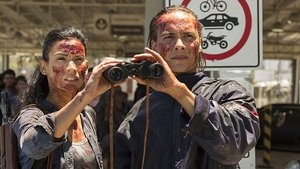 Fear the Walking Dead Staffel 2 Folge 15