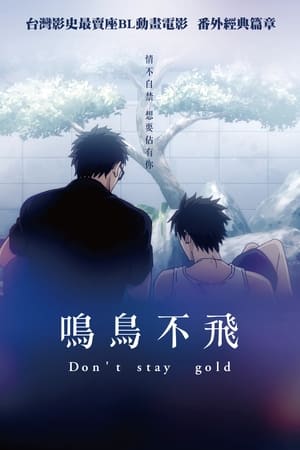 鸣鸟不飞 Don’t stay gold (2021)