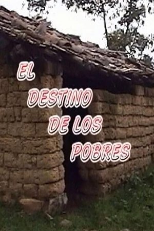 El destino de los pobres (2012)