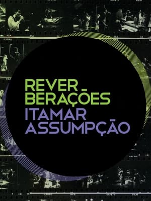 Reverberações - Itamar Assumpção