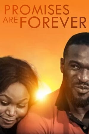 Poster Promises are forever (2017)