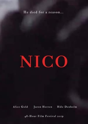 Image Nico