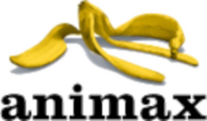 Animax Entertainment