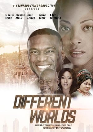 Poster Different Worlds (2020)