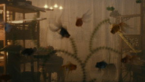 Farewell My Concubine