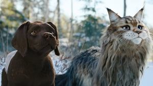 Perro y gata